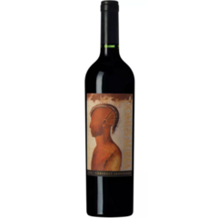 Vinho Domus Aurea 750ml