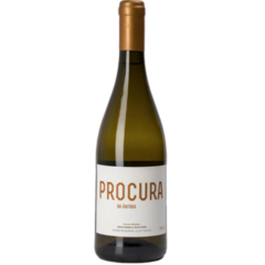 Vinho Procura na Ânfora Branco 750ml