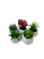 Pack X6 Plantas Artificial en Maceta Cerámica Brillante Cactus Suculenta Colores - REGALATE