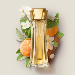 Linda Desodorante Colônia 100ml - comprar online