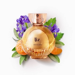 Liz Desodorante Colônia 100ml - comprar online