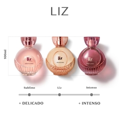 Liz Desodorante Colônia 100ml na internet