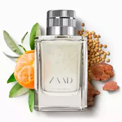 Zaad Eau de Parfum 95ml na internet