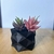 Kit 5 Cachepôs Decorativos - Impressão 3D em PLA HT - Design Moderno e Sustentável - loja online