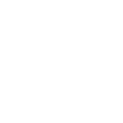 Vital Vida