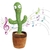 Cactus bailarin