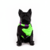 Bandana Atomic para Cães e Gatos - comprar online