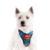 Peitoral Air Superman para Cães - comprar online