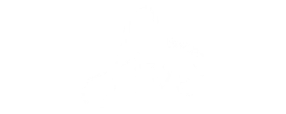 Five Fitwear