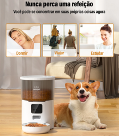 Alimentador automático de 4L para gatos WiFi na internet