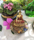 Orgonite Linha Oriental Trono Celestial (M1) - comprar online