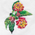 Lantana - comprar online