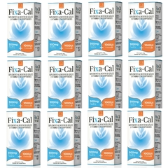 12 und FIXA-CAL 500mg Carbonato de Cálcio + Vitamina D 1000UI
