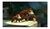 Jogo Donkey Kong Country Tropical Freeze Donkey Nintendo Switch na internet
