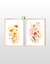 SET x 2 SUSURROS NARANJAS - comprar online