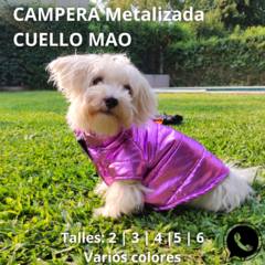 Campera Mascotas Metalizado - Talles variados