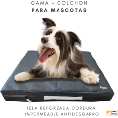 Colchón Cama Mascotas Antidesgarro 110x70x10cm - Goma espuma