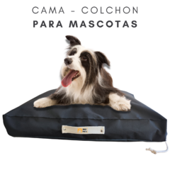 Funda Colchón Antidesgarro - 90x70x10 - para Mascota - Sin Relleno en internet