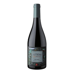 CASA PETRINI ROCA VOLCANICA MALBEC