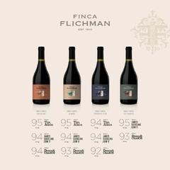 FLICHMAN SINGLE PARCEL 4 TERROIRS - comprar online