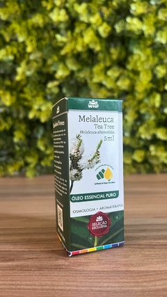 Óleo essencial Melaleuca WNF