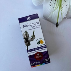 Óleo essencial Melaleuca WNF - comprar online