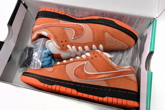 DUNK LOW SB "ORANGE LOBSTER" - Urso Importador