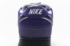 DUNK LOW SB "PURBLE LOBSTER" - loja online