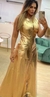 Vestido Dourado
