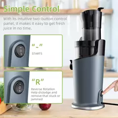 BioloMix 200W Extractor de Jugo de Prensa en Frío - comprar online