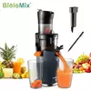 BioloMix 200W Extractor de Jugo de Prensa en Frío