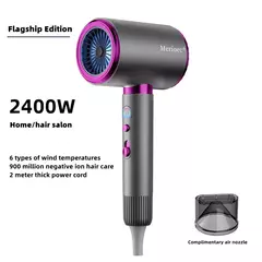 Secador de Pelo de Alta Velocidad HAOYUNMA 2400W - comprar online