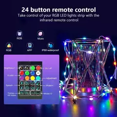 Dreamcolor Rgb Led Strip WS2812B Bluetooth Smart String Fairy Lights - comprar online