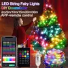 Dreamcolor Rgb Led Strip WS2812B Bluetooth Smart String Fairy Lights