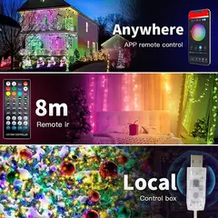 Dreamcolor Rgb Led Strip WS2812B Bluetooth Smart String Fairy Lights - comprar online