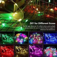 Dreamcolor Rgb Led Strip WS2812B Bluetooth Smart String Fairy Lights