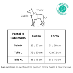 Pretal Sublimado en H - Talle XL en internet