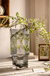 Vaso de vidro Botânica com base de madeira - comprar online
