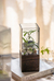 Vaso de vidro Botânica com base de madeira na internet