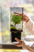 Vaso de vidro Botânica com base de madeira - comprar online