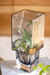 Vaso de vidro Botânica com base de madeira - Loja Botânica