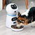 Máquina de Alimentação Automática para Pet com controle remoto