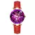 Relógio Feminino Seno Ocean Star Quartz Watch, Faixa de Aço - CP Shopline