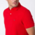 Polo Tommy hilfiger Clássica Regular IVY - loja online