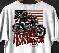 HARLEY DAVIDSON (WH-RR-007)