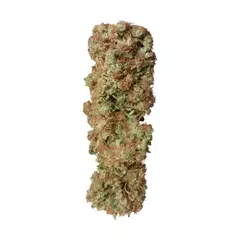 fotop. CANDY KUSH EXPRESS (3 semillas) - comprar online