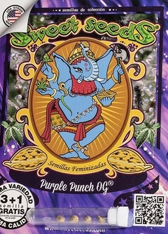 fotop. PURPLE PUNCH OG (4 semillas) - comprar online