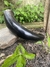 Drinking Horn 610ml - loja online