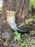 Drinking Horn 440ml - comprar online