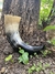 Drinking Horn 630ml - Gjallarhorn